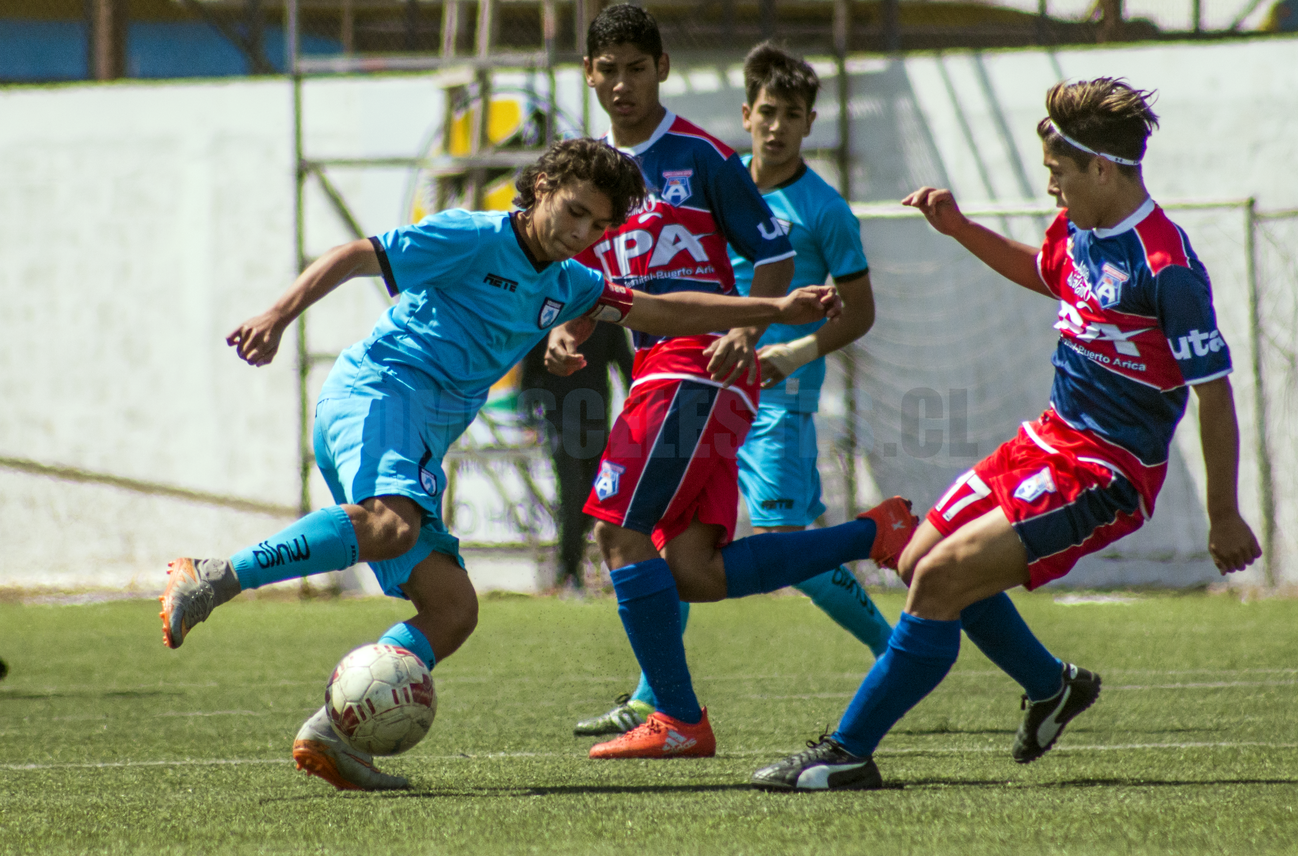 Resultados Fútbol Joven: Esperando los Play-Offs